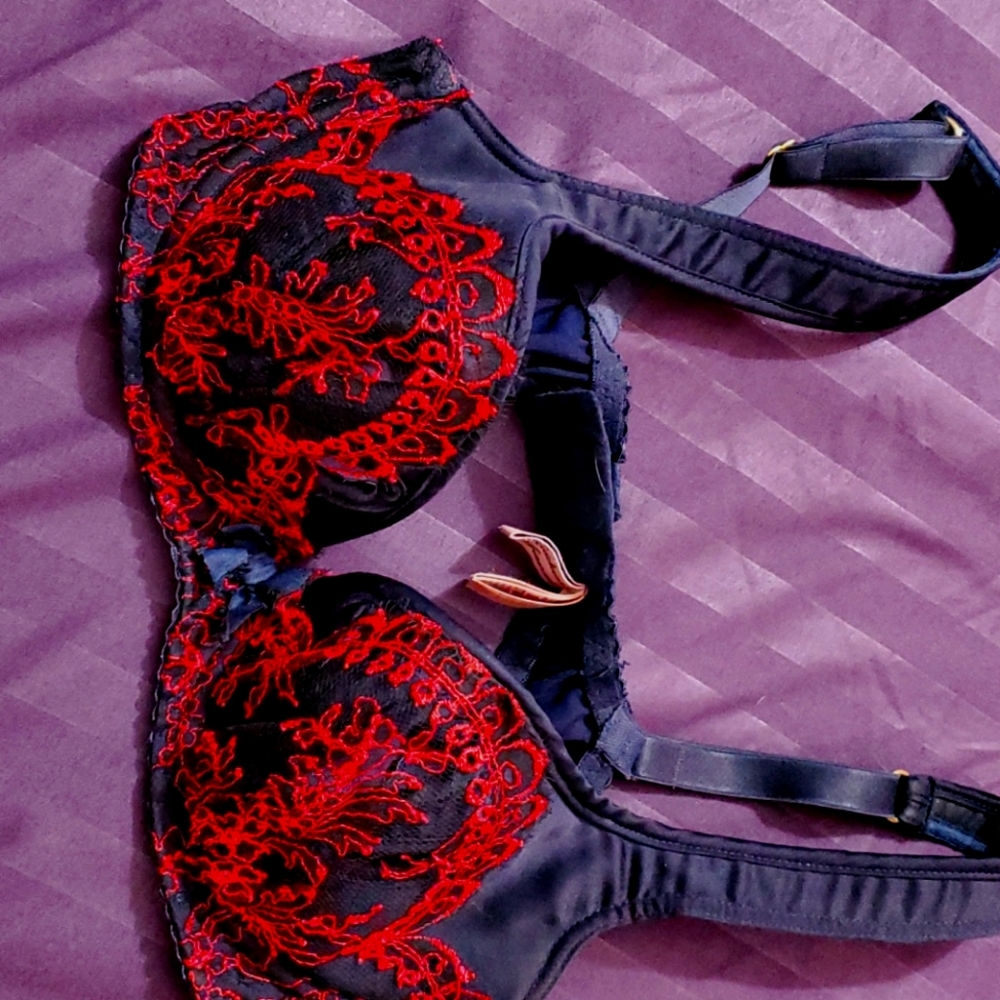 Agent Provocateur Beautiful semi sheer bras